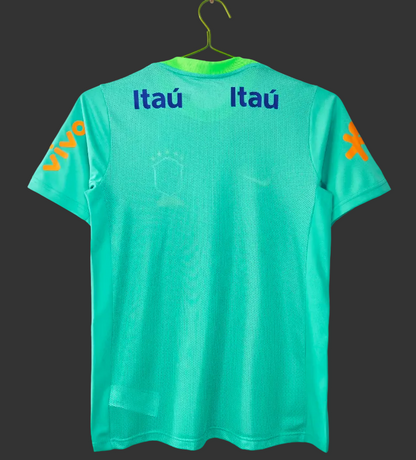 Retro 2024 Brazil Lake GreenTraining Suit