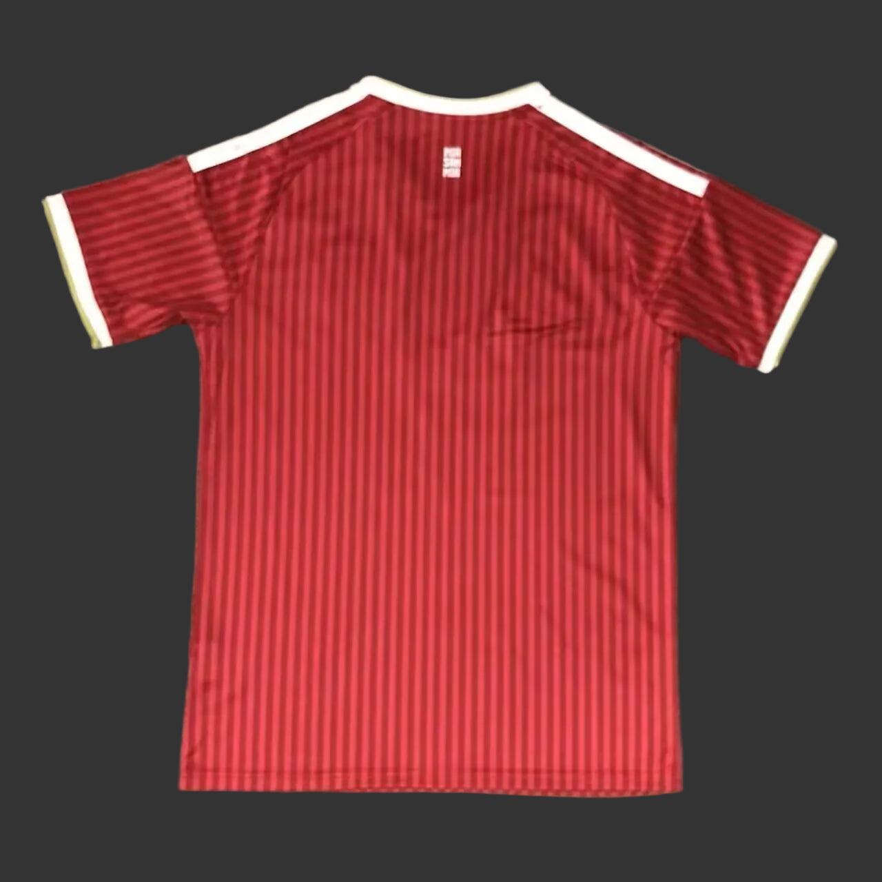 Bayern Munich Home Jersey Fan Version 26/27
