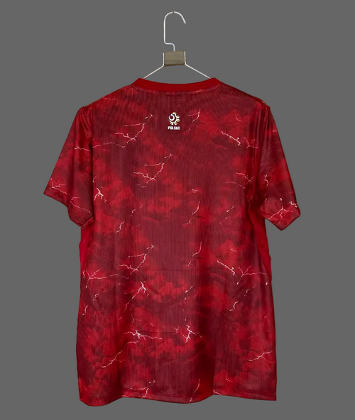Fan Version 26/27 Poland Away Jersey